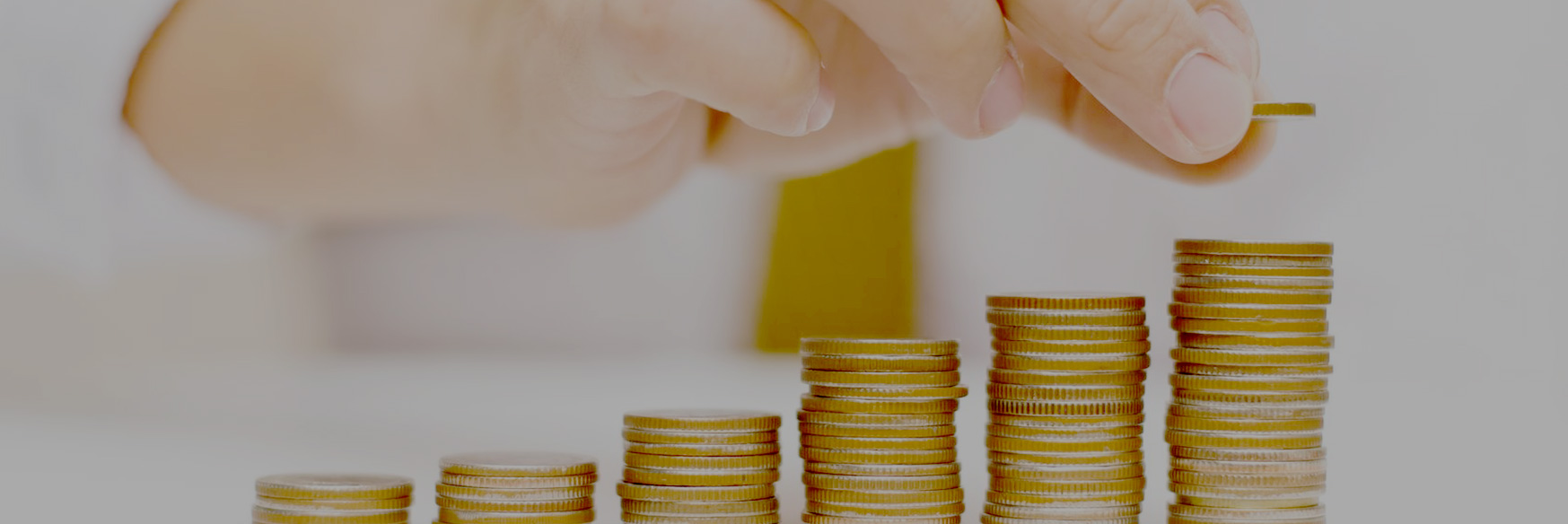 Pace Professional Management Accounting, Auditing, Book Keeping